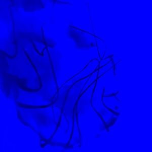 I will take any offers on the clothes